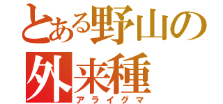 とある野山の外来種（アライグマ）