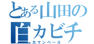 とある山田の白カビチーズ（カマンベール）