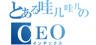 とある哇几哇几のＣＥＯ（インデックス）