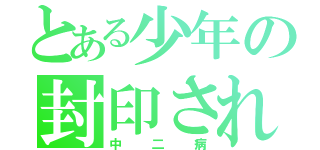 とある少年の封印された力（中二病）