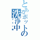 とあるポットの洗浄中（クエン酸）