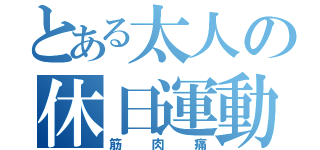 とある太人の休日運動（筋肉痛）