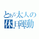 とある太人の休日運動（筋肉痛）