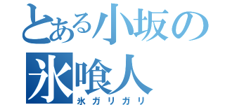 とある小坂の氷喰人（氷ガリガリ）