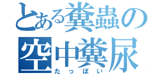 とある糞蟲の空中糞尿（たっぽい）