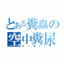 とある糞蟲の空中糞尿（たっぽい）