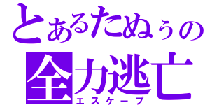 とあるたぬぅの全力逃亡（エスケープ）