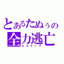 とあるたぬぅの全力逃亡（エスケープ）