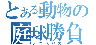 とある動物の庭球勝負（テニスバカ）