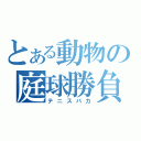 とある動物の庭球勝負（テニスバカ）