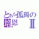 とある孤獨の培恩 Ⅱ（哀）