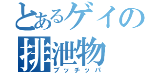 とあるゲイの排泄物（ブッチッパ）