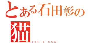 とある石田彰の猫（ｓｅｋｉｓｉｎｓｅｉ）