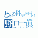 とある科学園芸の野口一眞（ハンマーボーイ）