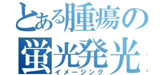 とある腫瘍の蛍光発光（イメージング）