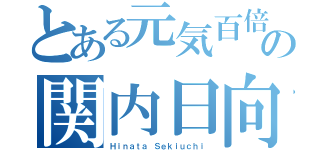 とある元気百倍の関内日向（Ｈｉｎａｔａ Ｓｅｋｉｕｃｈｉ）