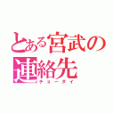 とある宮武の連絡先（チョーダイ）