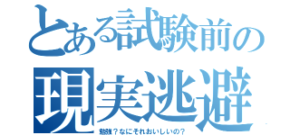 とある試験前の現実逃避（勉強？なにそれおいしいの？）