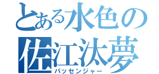 とある水色の佐江汰夢（パッセンジャー）