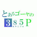 とあるゴーヤの３８５Ｐ（みやこプロ）