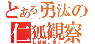 とある勇汰の仁狐観察（仁狐隠し撮り）