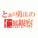 とある勇汰の仁狐観察（仁狐隠し撮り）