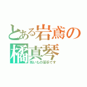 とある岩鳶の橘真琴（怖いもの苦手です）