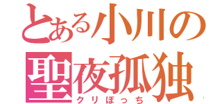 とある小川の聖夜孤独（泣）（クリぼっち）