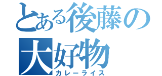 とある後藤の大好物（カレーライス）