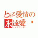 とある愛情の永遠愛妳（インデックス）