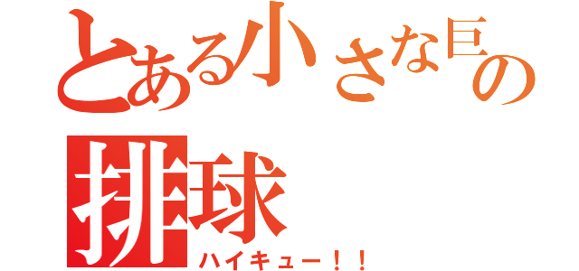 とある小さな巨人の排球（ハイキュー！！）