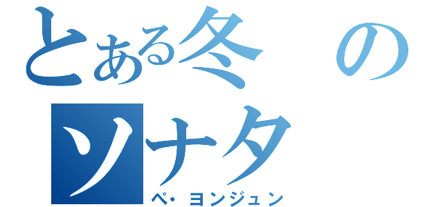 とある冬のソナタ（ぺ・ヨンジュン）