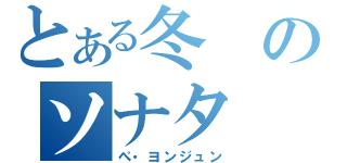 とある冬のソナタ（ぺ・ヨンジュン）