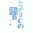 とある３Ｃの脂肪（一大堆）