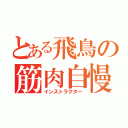 とある飛鳥の筋肉自慢（インストラクター）