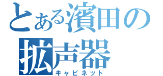 とある濱田の拡声器（キャビネット）