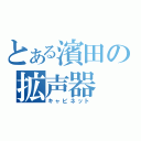 とある濱田の拡声器（キャビネット）