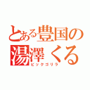 とある豊国の湯澤くるみ（ビックゴリラ）