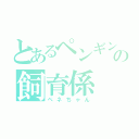 とあるペンギンの飼育係（ペネちゃん）