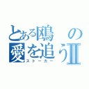 とある鴎の愛を追う者Ⅱ（ストーカー）