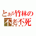 とある竹林の不老不死（藤原妹紅）