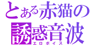 とある赤猫の誘惑音波（エロボイス）