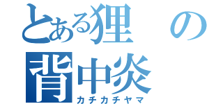 とある狸の背中炎（カチカチヤマ）