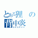 とある狸の背中炎（カチカチヤマ）