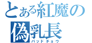 とある紅魔の偽乳長（パッドチョウ）