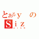 とあるｙのＳｉｚ（ｐｊｂＮ）