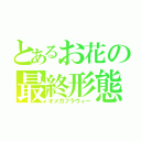 とあるお花の最終形態（オメガフラウィー）