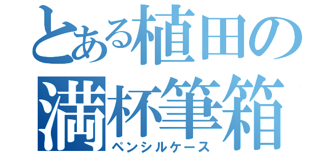 とある植田の満杯筆箱（ペンシルケース）