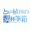 とある植田の満杯筆箱（ペンシルケース）