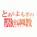 とあるよもぎの露出調教（裸にベスト）